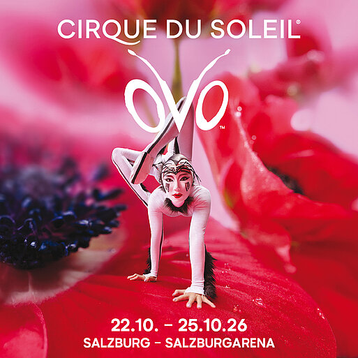 Cirque du Soleil „OVO“ präsentiert das große Krabbeln!