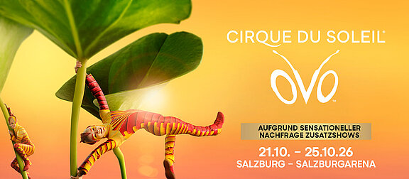 CIRQUE DU SOLEIL