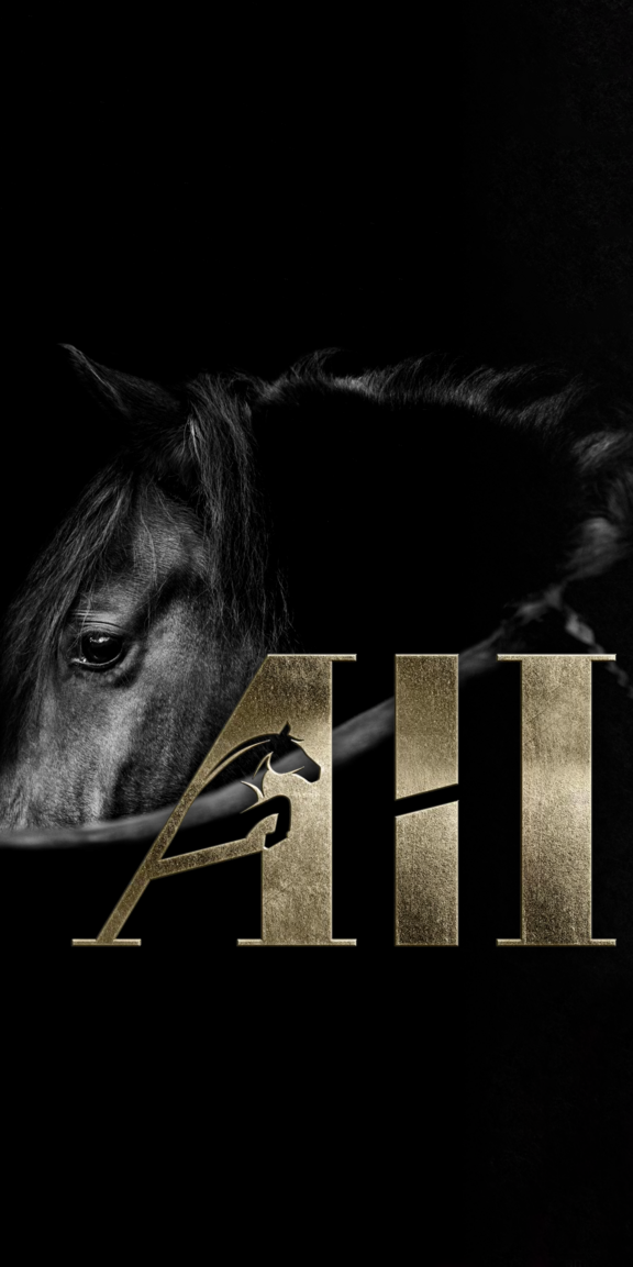 Amadeus Horse Indoors