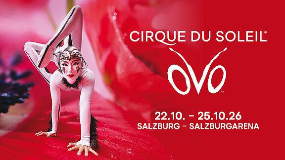 Cirque du Soleil „OVO“ präsentiert das große Krabbeln!